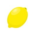 Yellow lemon vector icon illustration isolated on white background. Lemon icon Royalty Free Stock Photo