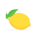 Yellow lemon vector icon illustration isolated on white background Royalty Free Stock Photo