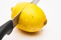 Yellow lemon on a white background cut with knife