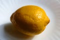 Yellow lemon on a white plate with shadow Royalty Free Stock Photo