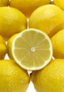 Yellow Lemons, citrus limonum Royalty Free Stock Photo