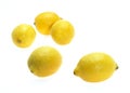 Yellow Lemons, citrus limonum against White Background