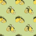 Yellow lemons with piece seamless doodle organic citrus summer fruits vector  pattern on green background Royalty Free Stock Photo