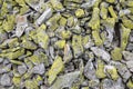 Yellow lichen texture on grey natural sharp irregular stones Royalty Free Stock Photo