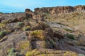 Yellow lichens on stones in a mountain desert in Arizona