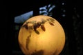 Yellow light round lamp with leaves shades and shadows at dusk Royalty Free Stock Photo