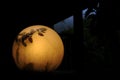 Yellow light round lamp with leaves shades and shadows at dusk Royalty Free Stock Photo