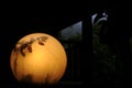 Yellow light round lamp with leaves shades and shadows at dusk Royalty Free Stock Photo