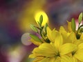 Yellow lilies flowers,on the bright blurred background with round white, yellow highlights. Closeup. Bright floral composition