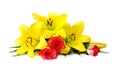 Bouquet red roses and yellow lilies on a white background with space for text Royalty Free Stock Photo