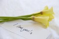 Yellow lillies and love note