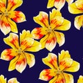 Yellow lily flower watercolor seamless pattern. Bright tropical flowers isolated on blue background. Royalty Free Stock Photo