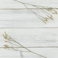 Yellow limonium caspia flowers on white wood