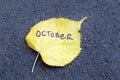 Yellow linden leaf on which is written `October`.
