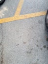 The yellow line divide the parking space on asphalt pavement of the mall Royalty Free Stock Photo