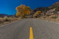 Yellow line divides Utah state highway and shows autumn color