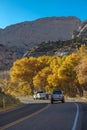 Yellow line divides Utah state highway and shows autumn color