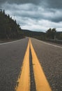 Yellow lines on a long asphalt road surrounded by greens under the cloudy sky