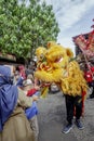 The yellow lion dance accepts angpao from visitors