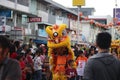 Yellow lion dance during cap go meh celebration in Pontianak.