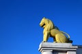 Yellow lion statue isolated on blue sky background. A lion statue at Dhauli Shanti Stupa in Odisha, India. Royalty Free Stock Photo