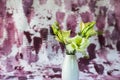 Yellow lisianthus fflower in vase on violet background