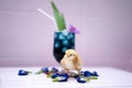 A yellow little chick with butterfly pea water and ice in a champagne glass is decorated by orchid and pandan leaf. It`s shown an Royalty Free Stock Photo