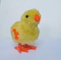 Yellow little chicken toys for children