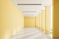 Yellow loft empty room corridor Royalty Free Stock Photo