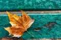 Yellow lonely autumn leaf on a turquoise wooden bench. Background. Space for text. Close-up Royalty Free Stock Photo