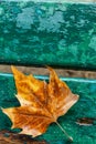 Yellow lonely autumn leaf on a turquoise wooden bench. Background. Space for text. Close-up. Royalty Free Stock Photo