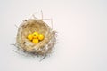Lottery balls in a nest