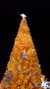 Yellow luminous Christmas tree into the night