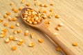 Yellow maize corn kernels ready for making popcorn, on bamboo cutting board and in wooden spoon Royalty Free Stock Photo