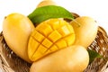Yellow mango Beautiful skin In the basket In white background Royalty Free Stock Photo