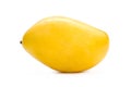 Yellow Mango fruits isolated white background