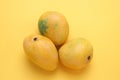 Yellow mango isolated on yellow background,,top view,Copy space for the ads