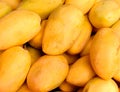 Yellow mango pile photo for background or wallpaper. Bunch of tropical fruits Royalty Free Stock Photo