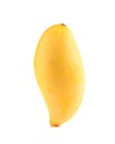 Yellow mango ,thai fruit favorite isolated on a white background