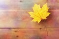 Maple autumn leaf on window with water drops after rain. Royalty Free Stock Photo