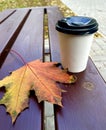 yellow maple leaf and a glass of coffee Royalty Free Stock Photo