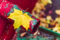 A yellow maple leaf lies on a red pipe Royalty Free Stock Photo