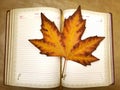Yellow maple leaf and notepad.