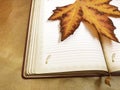 Yellow maple leaf and notepad.
