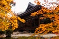 Yellow maple leaf at temple building of Tenju-an at fall, Kyoto Royalty Free Stock Photo