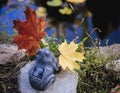 Yellow maple leaves against the backdrop of an artificial garden pond. A figurine of a toad with autumn leaves in its mouth.