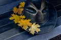 Yellow maple leaves lie on a hat and a park bench, close-up Royalty Free Stock Photo