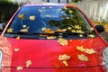 Yellow maple leaves lie on the red car Royalty Free Stock Photo