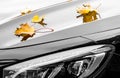 Maple leaves on luxury car at autumn Royalty Free Stock Photo