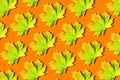 Yellow maple leaves pattern on orange background. Top view. Flat lay. Season concept. Creative layout of colorful autumn leaves Royalty Free Stock Photo
